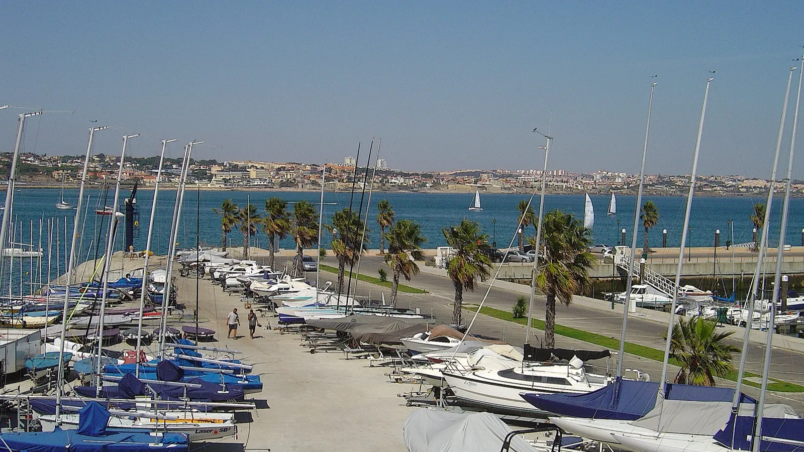 Marina in Cascais, Portugal, with sailboats, palm trees and the town across the bay