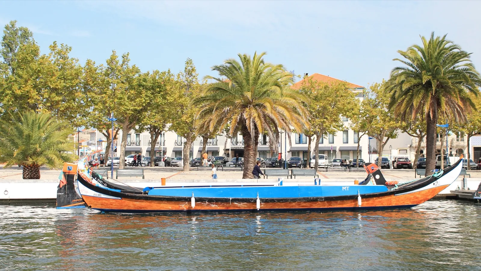 Traditional painted moliceiro boat on an Aveiro canal lined with palm trees