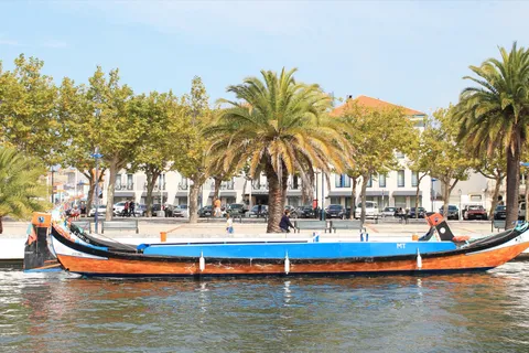 Traditional painted moliceiro boat on an Aveiro canal lined with palm trees