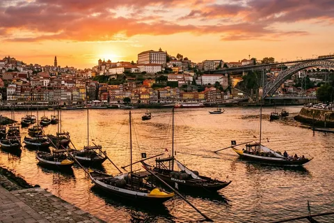 Douro Valley Wine Tour: The Complete Guide (2026)