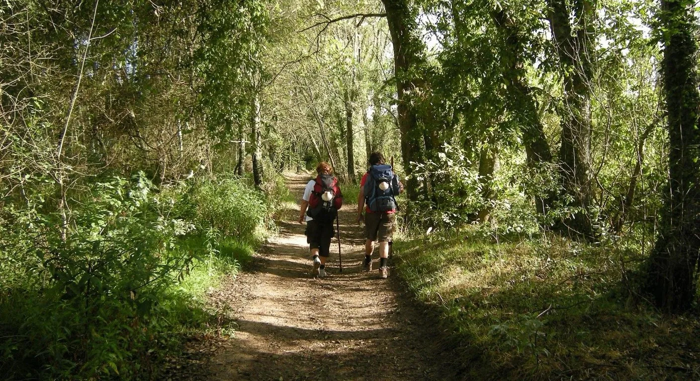 Deux pèlerins avec sac à dos et coquilles Saint-Jacques marchant sur un sentier boisé du Chemin de Saint-Jacques, dans le nord du Portugal