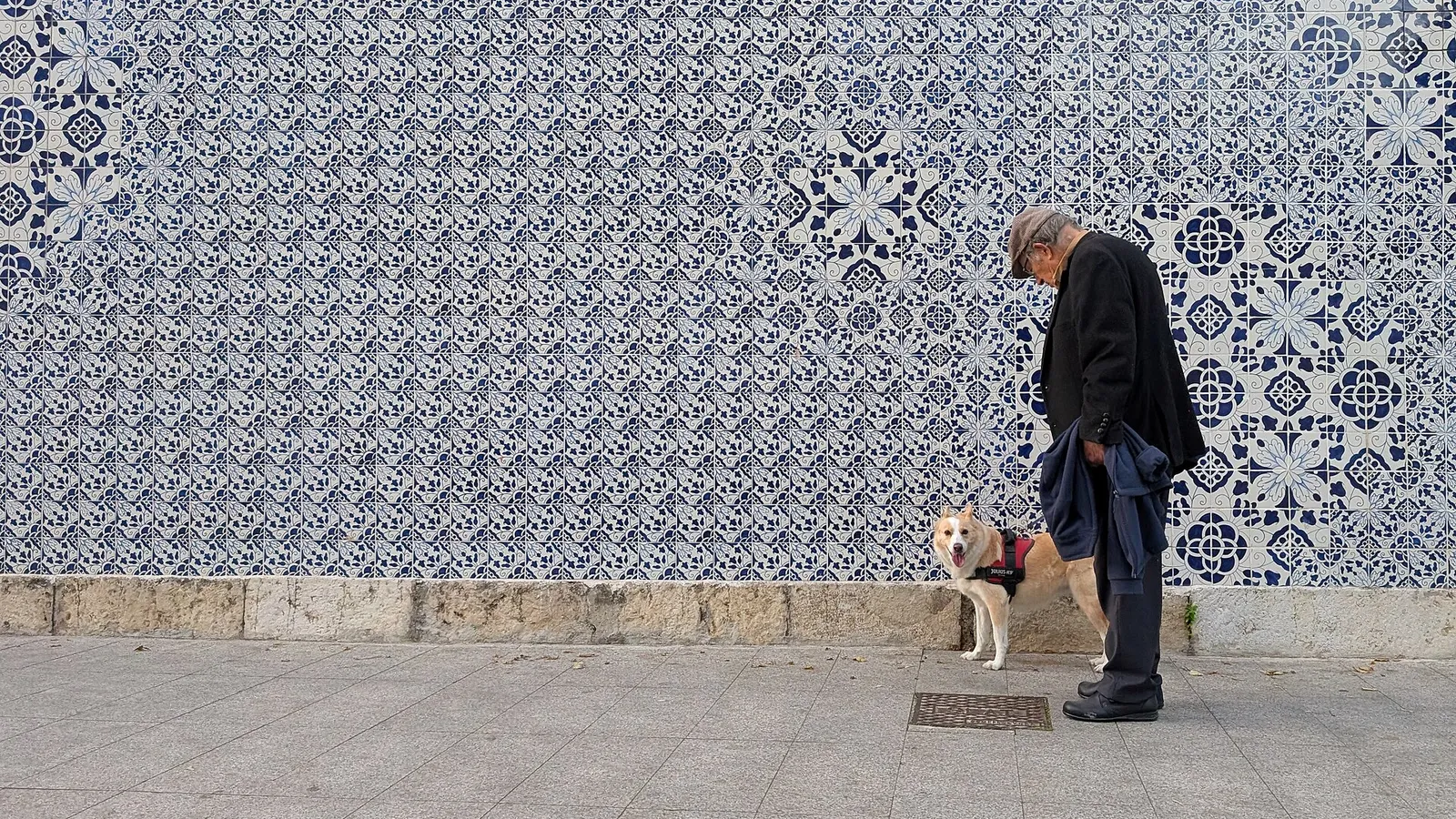 A dog in a harness waits beside its owner in front of a blue-and-white azulejo wall in Lisbon, the kind of daily walk you are planning for when bringing a pet to Portugal