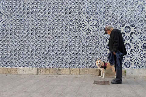 A dog in a harness waits beside its owner in front of a blue-and-white azulejo wall in Lisbon, the kind of daily walk you are planning for when bringing a pet to Portugal