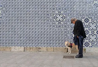 A dog in a harness waits beside its owner in front of a blue-and-white azulejo wall in Lisbon, the kind of daily walk you are planning for when bringing a pet to Portugal